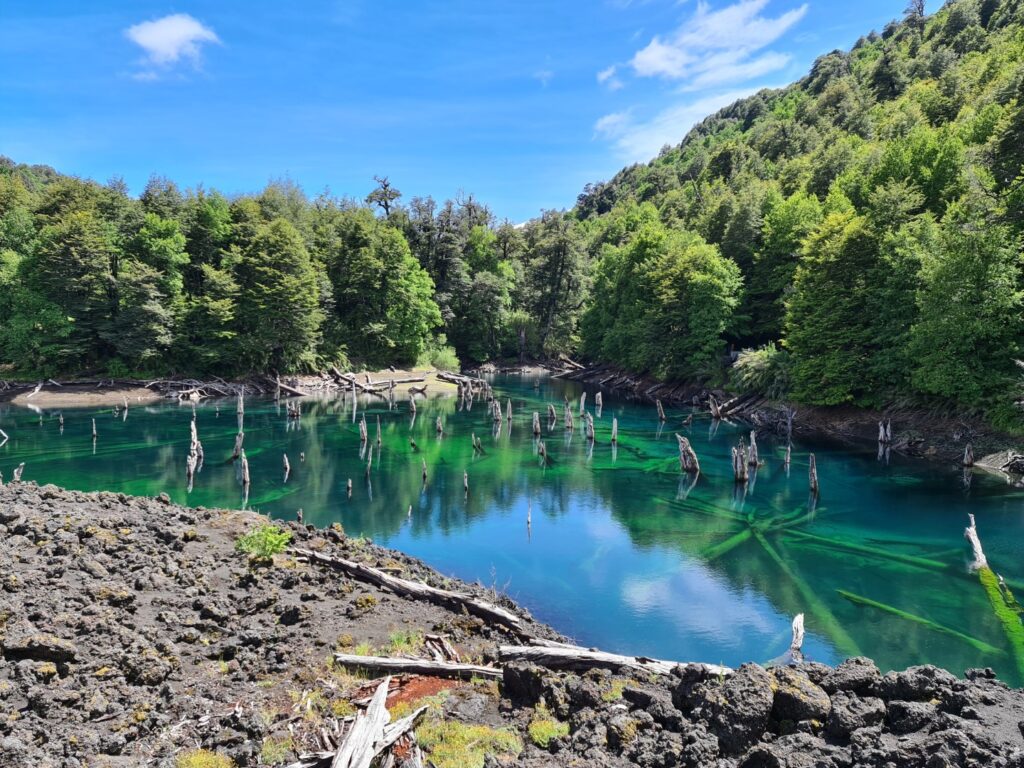 Tour Parque Nacional Conguillío