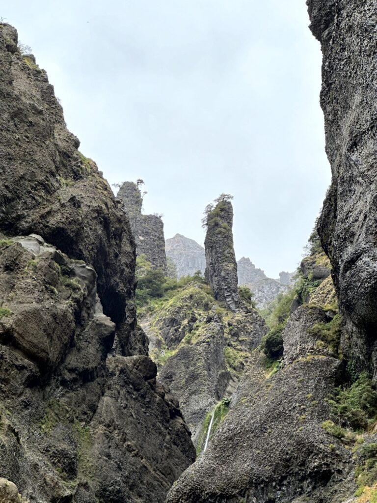 Tour Geisers y Termas de Alpehue