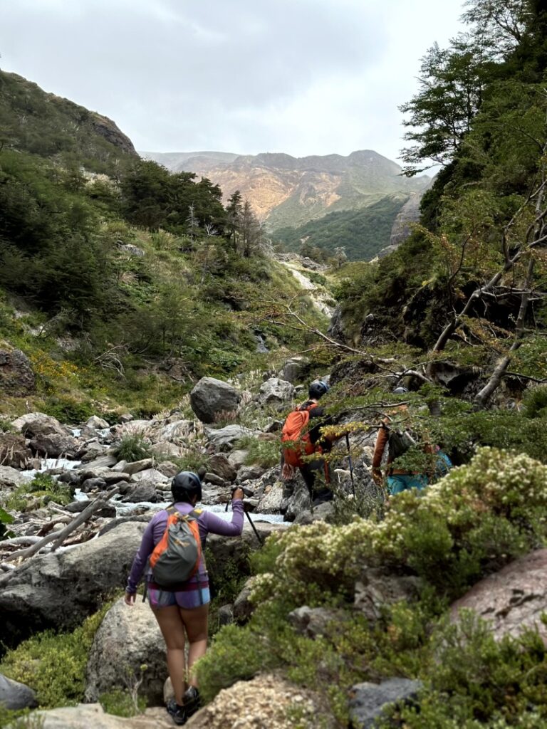 Tour Geisers y Termas de Alpehue
